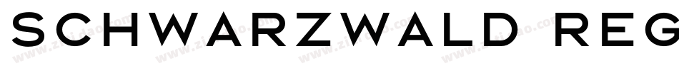 Schwarzwald Regular字体转换
